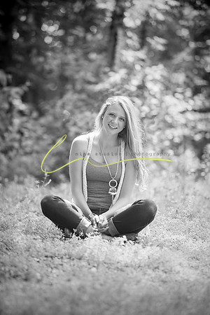 Senior Sitting Fee
